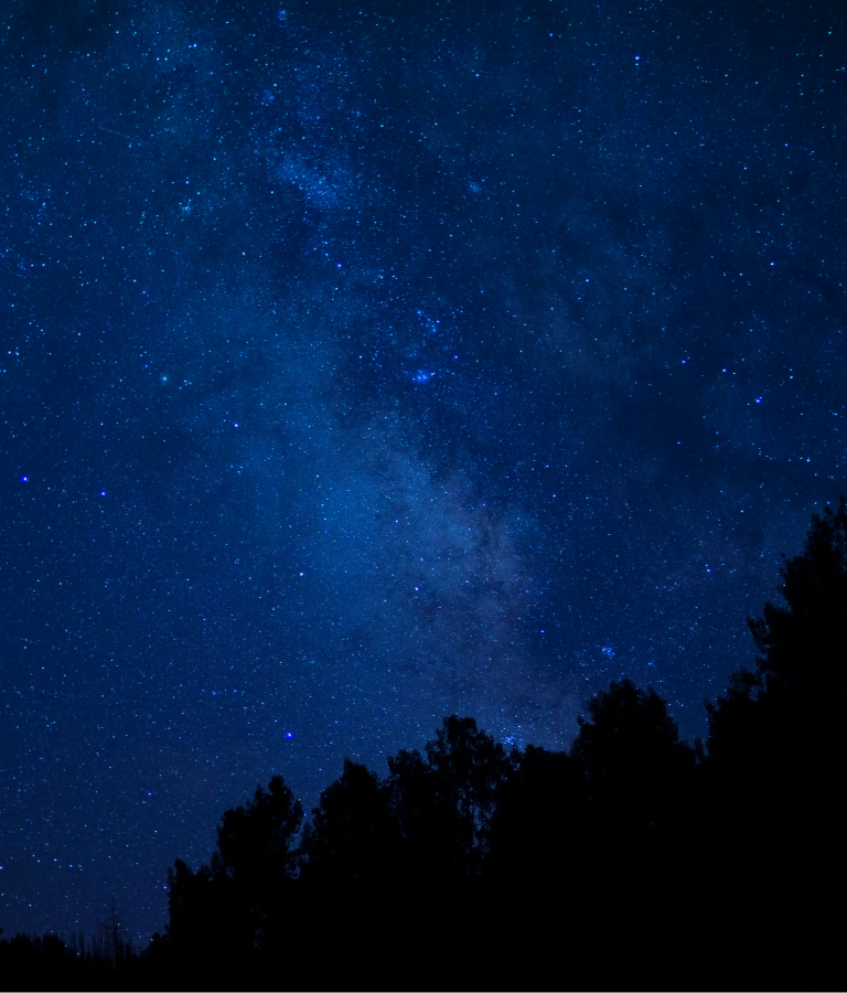 Starry night sky with silhouette of trees at the bottom